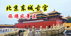 男女裸身搞基网站中国北京-东城古宫旅游风景区